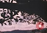 Image of United States pilot Vietnam, 1967, second 21 stock footage video 65675075567