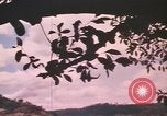 Image of United States pilot Vietnam, 1967, second 22 stock footage video 65675075567