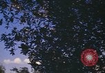 Image of United States pilot Vietnam, 1967, second 27 stock footage video 65675075567