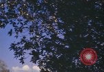 Image of United States pilot Vietnam, 1967, second 28 stock footage video 65675075567