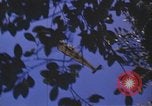 Image of United States pilot Vietnam, 1967, second 32 stock footage video 65675075567