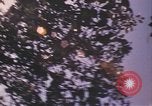 Image of United States pilot Vietnam, 1967, second 34 stock footage video 65675075567