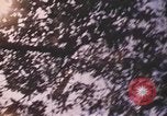 Image of United States pilot Vietnam, 1967, second 35 stock footage video 65675075567
