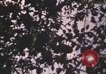 Image of United States pilot Vietnam, 1967, second 36 stock footage video 65675075567