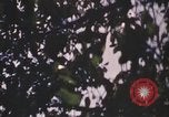 Image of United States pilot Vietnam, 1967, second 37 stock footage video 65675075567