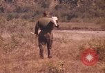 Image of United States pilot Vietnam, 1967, second 61 stock footage video 65675075567