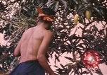 Image of Vietnamese man Vietnam, 1967, second 11 stock footage video 65675075568