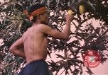 Image of Vietnamese man Vietnam, 1967, second 12 stock footage video 65675075568