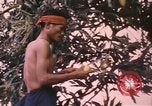 Image of Vietnamese man Vietnam, 1967, second 14 stock footage video 65675075568