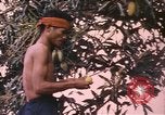 Image of Vietnamese man Vietnam, 1967, second 15 stock footage video 65675075568