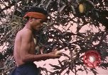 Image of Vietnamese man Vietnam, 1967, second 16 stock footage video 65675075568