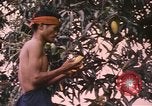 Image of Vietnamese man Vietnam, 1967, second 17 stock footage video 65675075568