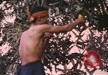 Image of Vietnamese man Vietnam, 1967, second 18 stock footage video 65675075568