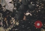 Image of Vietnamese man Vietnam, 1967, second 24 stock footage video 65675075568