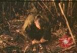 Image of United States pilots Vietnam, 1967, second 1 stock footage video 65675075569