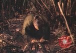 Image of United States pilots Vietnam, 1967, second 5 stock footage video 65675075569