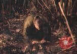 Image of United States pilots Vietnam, 1967, second 7 stock footage video 65675075569