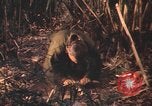 Image of United States pilots Vietnam, 1967, second 10 stock footage video 65675075569