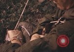 Image of United States pilot Vietnam, 1967, second 13 stock footage video 65675075570