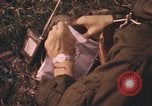 Image of United States pilot Vietnam, 1967, second 21 stock footage video 65675075570