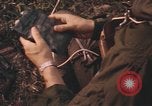 Image of United States pilot Vietnam, 1967, second 24 stock footage video 65675075570
