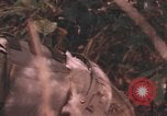 Image of United States pilot Vietnam, 1967, second 14 stock footage video 65675075572