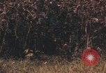 Image of United States pilot Vietnam, 1967, second 16 stock footage video 65675075572