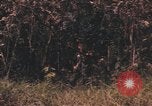 Image of United States pilot Vietnam, 1967, second 20 stock footage video 65675075572