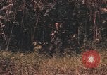 Image of United States pilot Vietnam, 1967, second 25 stock footage video 65675075572