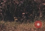 Image of United States pilot Vietnam, 1967, second 26 stock footage video 65675075572
