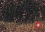 Image of United States pilot Vietnam, 1967, second 29 stock footage video 65675075572