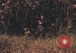 Image of United States pilot Vietnam, 1967, second 33 stock footage video 65675075572