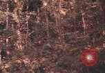 Image of United States pilot Vietnam, 1967, second 40 stock footage video 65675075572