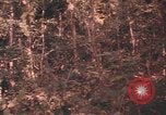 Image of United States pilot Vietnam, 1967, second 41 stock footage video 65675075572