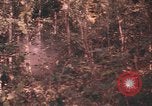 Image of United States pilot Vietnam, 1967, second 42 stock footage video 65675075572