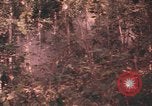 Image of United States pilot Vietnam, 1967, second 43 stock footage video 65675075572