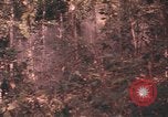 Image of United States pilot Vietnam, 1967, second 44 stock footage video 65675075572