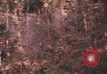 Image of United States pilot Vietnam, 1967, second 45 stock footage video 65675075572