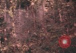 Image of United States pilot Vietnam, 1967, second 46 stock footage video 65675075572