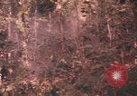 Image of United States pilot Vietnam, 1967, second 47 stock footage video 65675075572