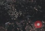 Image of United States pilot Vietnam, 1967, second 49 stock footage video 65675075572