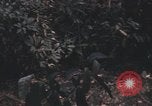 Image of United States pilot Vietnam, 1967, second 50 stock footage video 65675075572