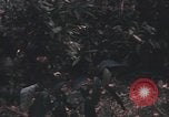 Image of United States pilot Vietnam, 1967, second 51 stock footage video 65675075572