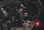 Image of United States pilot Vietnam, 1967, second 58 stock footage video 65675075572