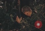 Image of United States pilot Vietnam, 1967, second 11 stock footage video 65675075573