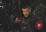 Image of United States pilot Vietnam, 1967, second 14 stock footage video 65675075573
