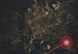 Image of United States pilot Vietnam, 1967, second 34 stock footage video 65675075573