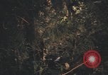 Image of United States pilot Vietnam, 1967, second 36 stock footage video 65675075573