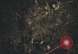 Image of United States pilot Vietnam, 1967, second 38 stock footage video 65675075573