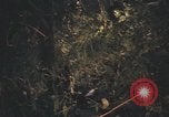 Image of United States pilot Vietnam, 1967, second 39 stock footage video 65675075573